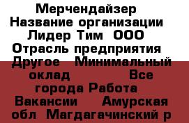 Мерчендайзер › Название организации ­ Лидер Тим, ООО › Отрасль предприятия ­ Другое › Минимальный оклад ­ 20 000 - Все города Работа » Вакансии   . Амурская обл.,Магдагачинский р-н